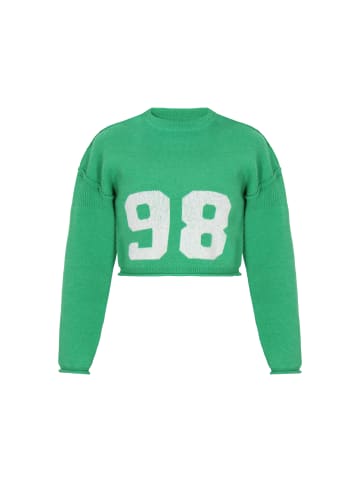 myMo Sweater in green white