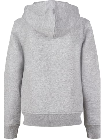 F4NT4STIC Hoodie in heather grey