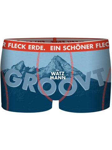 EIN SCHÖNER FLECK ERDE M DERWATZMANN GROOVT BOXER in Blau