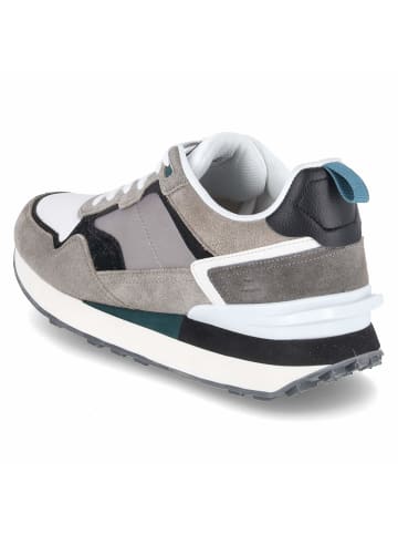 Bullboxer Low Sneaker in grau