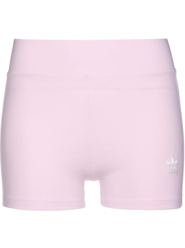 adidas Shorts in pearl amethyst