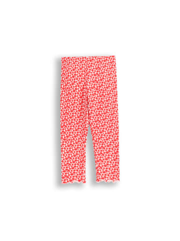 Coccodrillo Leggings mit langem Hosenbein in bunt