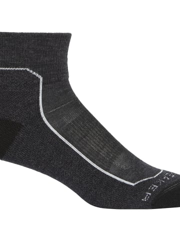 icebreaker Socken Hike+ Light Mini in Dunkelgrau