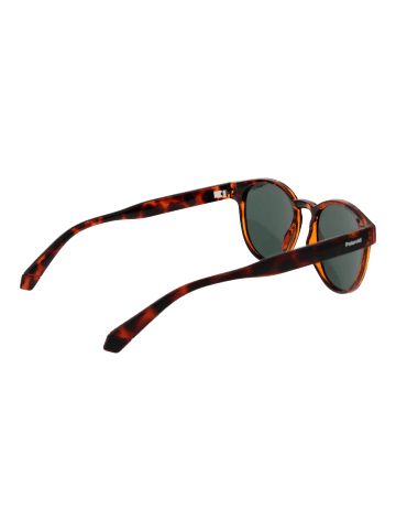 Polaroid Unisex Sonnenbrille Panto Braun