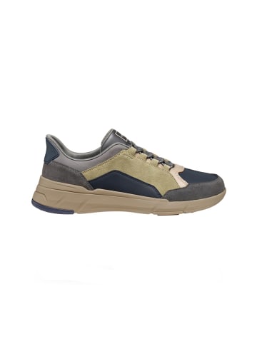 Geox Sneakers Low Vittour Plus Man in bunt