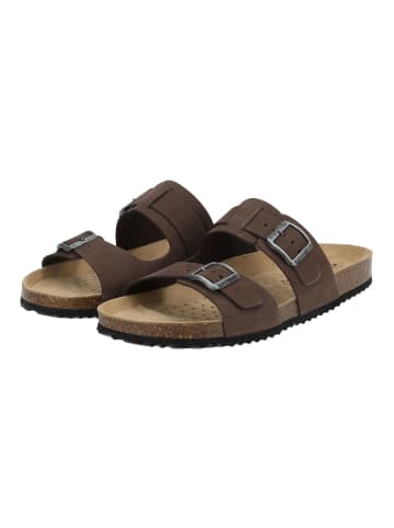 Geox Pantoletten in Coffee