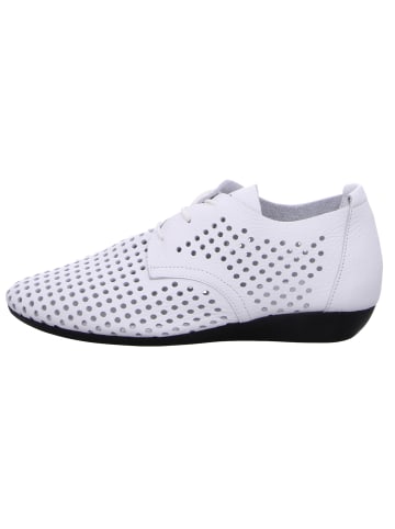 Arche Schnürschuh in weiß