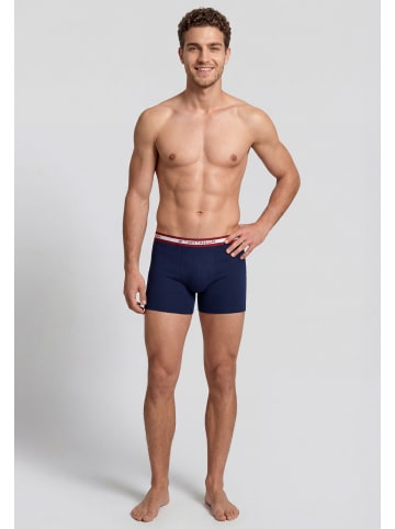 Tom Tailor Long-Pants 3Er Pack Buffer in blau-dunkel-multicolor1