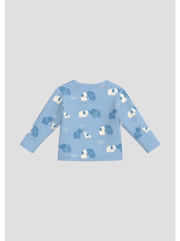 s.Oliver T-Shirt in 52A2_blassblau