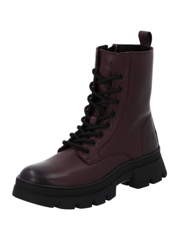 palado Schnürstiefeletten in DK BORDEAUX