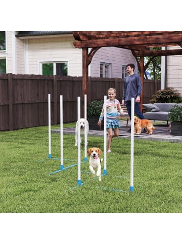 Pawhut Hunde Agility Set Weiß+Blau PE-Kunststoff