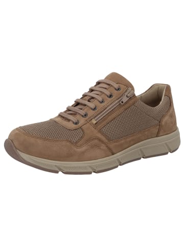 Solidus Sneaker Low in braun