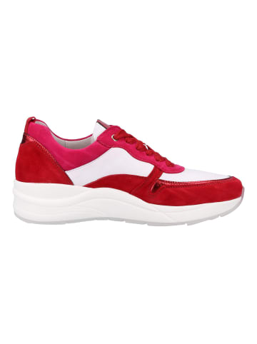 Gabor Sneaker Rot