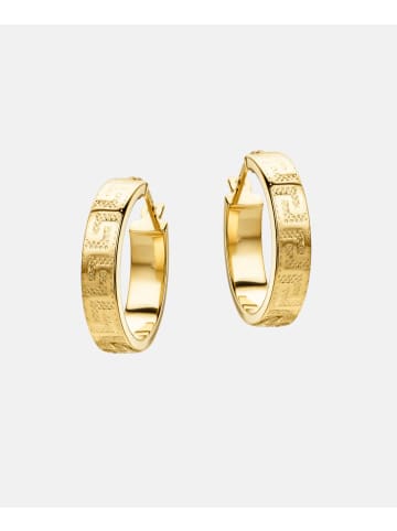 Vanlere Creolen aus 750 Gelbgold