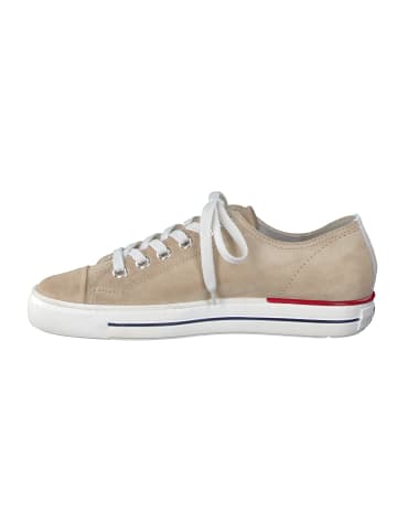 Paul Green Sneaker in Sand