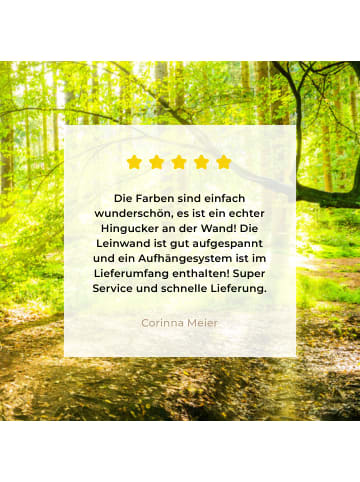 MuchoWow Leinwand bilder Waldlicht (BxH)