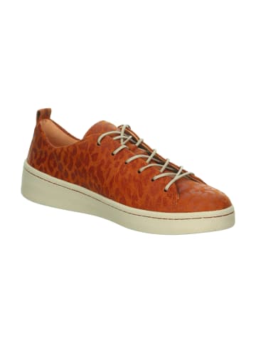 Think! Sneakers Low KUMI in Cinamon