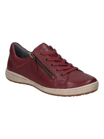 Josef Seibel Sneaker Caren in bordo