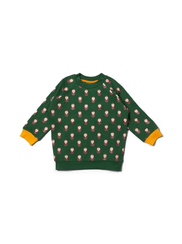 Little Green Radicals Sweatshirt aus Bio-Baumwolle in Grün