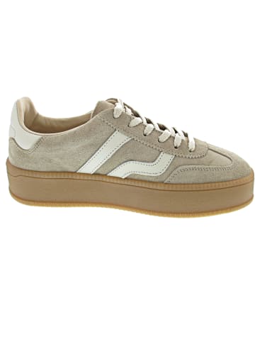 Gant Cuzmani Sneaker low Beige