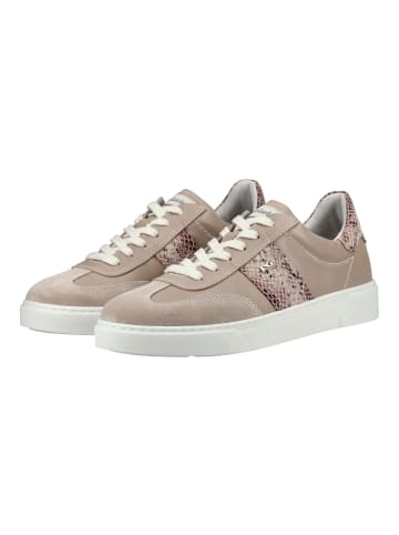 Nero Giardini Sneaker in Beige