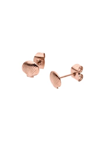 PURELEI Ohrringe Seashell Rosegold