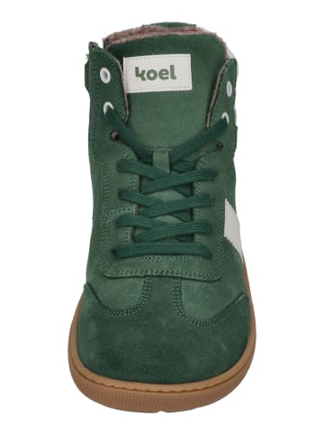 KOEL Sneaker High DREW FELT in grün