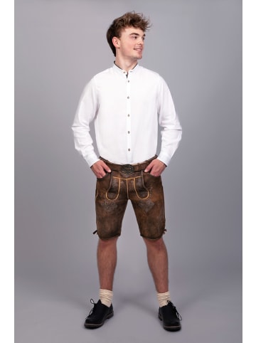 Edelnice Kurze Wildbock Lederhose Bernd in dunkelbraun