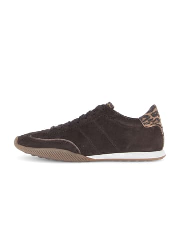Gabor Sneaker low in braun