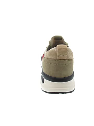 Bugatti Sneaker Beige