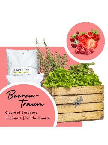 VCM  Set Pflanzenkiste & 5x Echtpflanzen & Erde & Dünger in Beerentraum