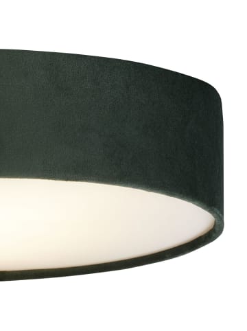 Licht-Erlebnisse Deckenlampe Ø 38 x (H)10 cm in Grün