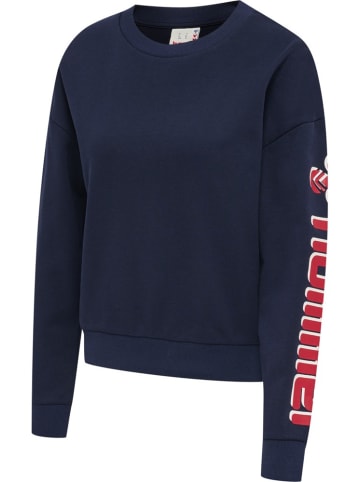 Hummel Pullover in Blau