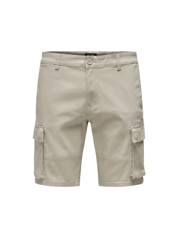 Only&Sons Short in Silver Lining