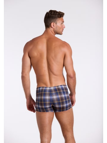 wavebreaker Badehose in braun
