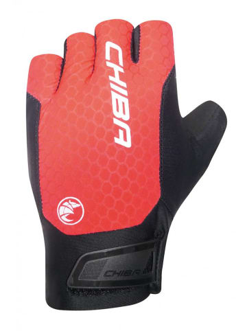Chiba Pure Race II - Radhandschuhe, kurz, M,