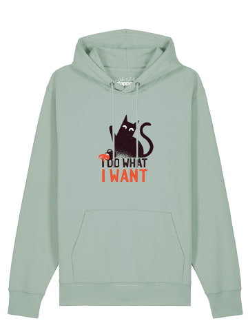 wat? Apparel Sweatshirt Cat in Aloe