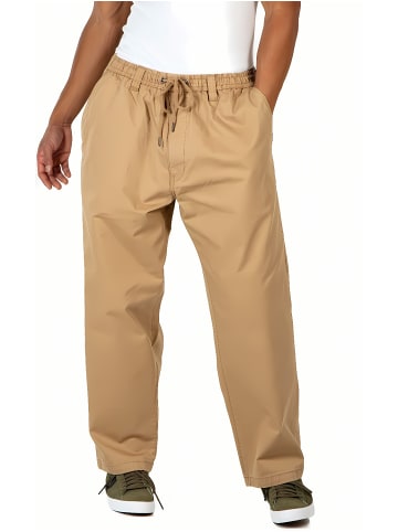 Reell Stoffhose "Reflex Meadow Pc" in Braun