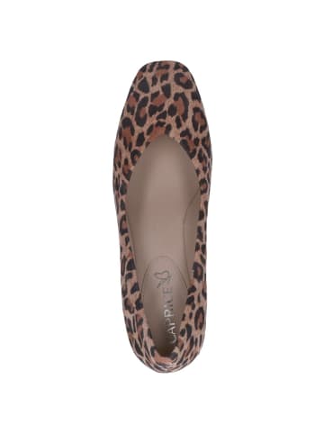 Caprice Pumps in LEO BEIGE