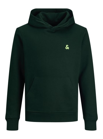 JACK & JONES Junior Kapuzen-Sweatshirt in pine grove