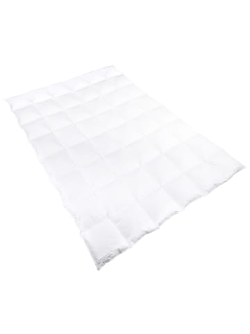 Sanders-Kauffmann Weidegans Daunenbettdecke in weiß