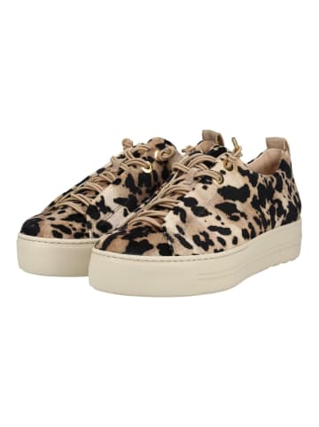 Paul Green Sneaker in Leopard