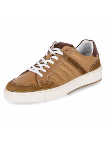 Bullboxer Low Sneaker in braun