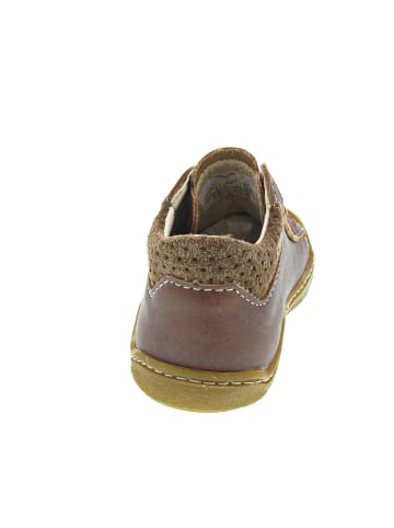 Ricosta Caius Lauflern Braun