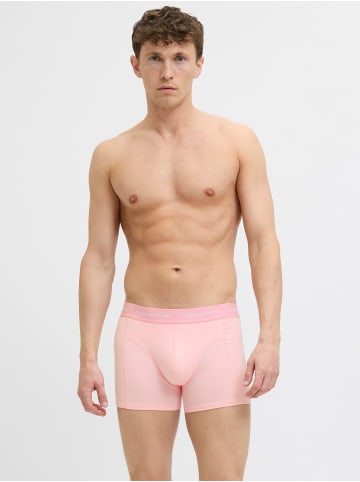 Jack & Jones 5er-Pack Trunks in Arabian Spice