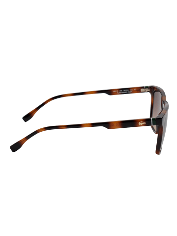 Lacoste Sonnenbrille in Brown