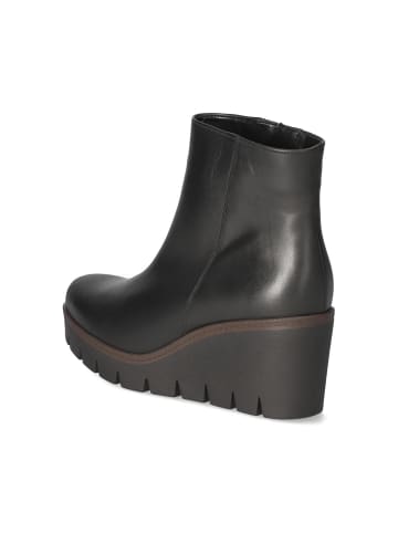 Gabor Ankle Boots in Schwarz