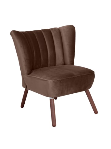 58 aufm Kessel SESSEL Kadisha Bezug Samtvelours Buche nussbaum dunkel / braun