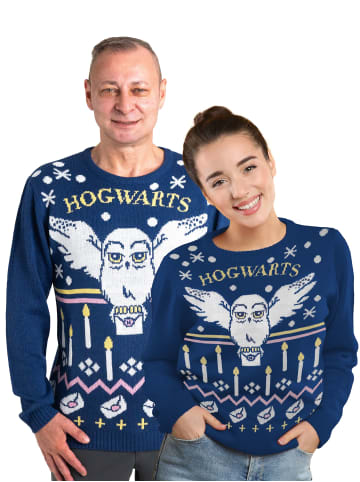 Harry Potter Harry Potter Winterpullover Hedwig Eule Winter Pullover Ugly Sweater in blau