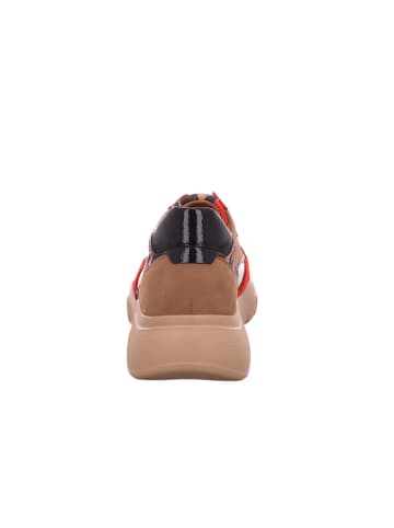 Gabor Fashion Sneaker in beige